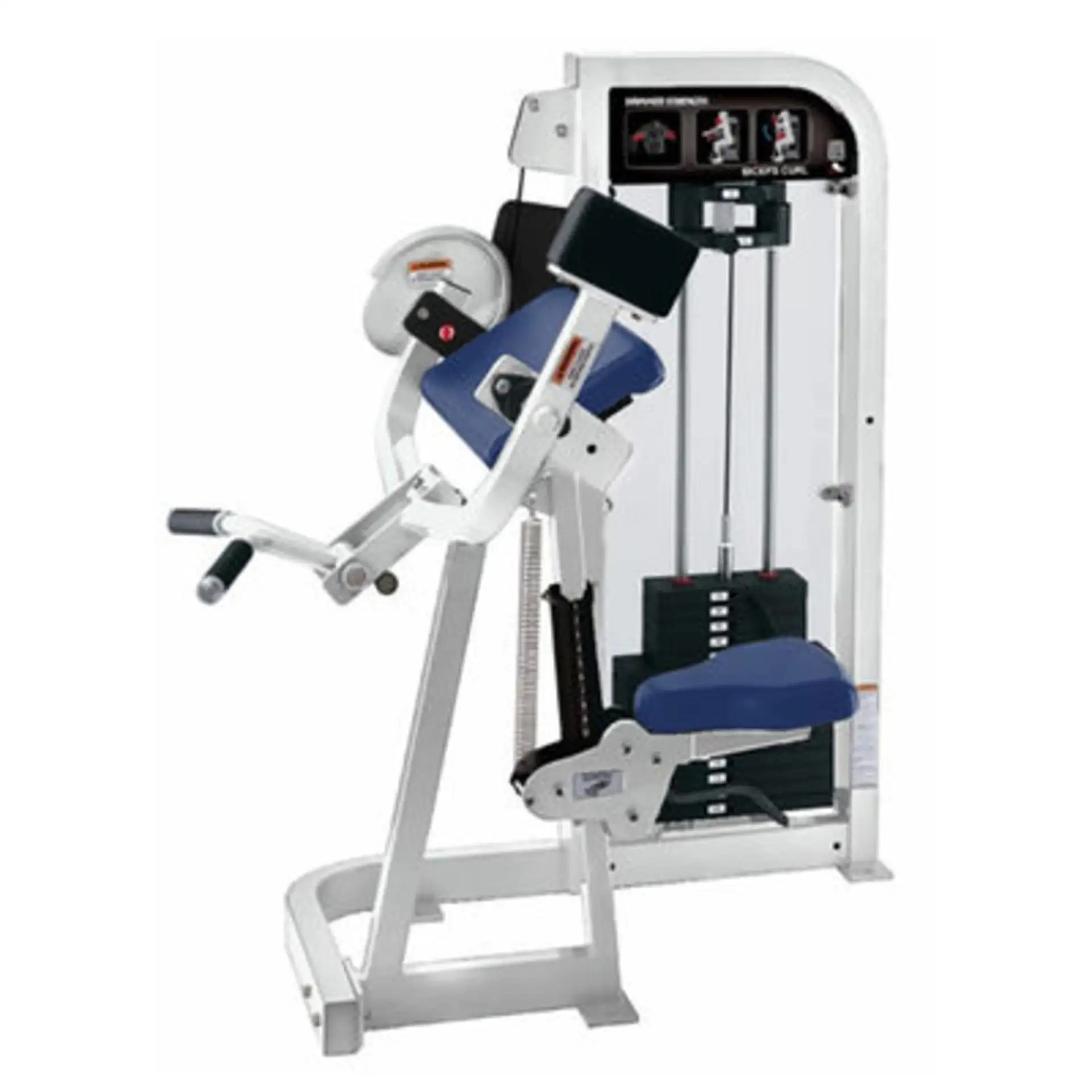 18-979-hammer-strength-select-biceps-curl-image-5-